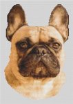 (image for) Fawn French Bulldog